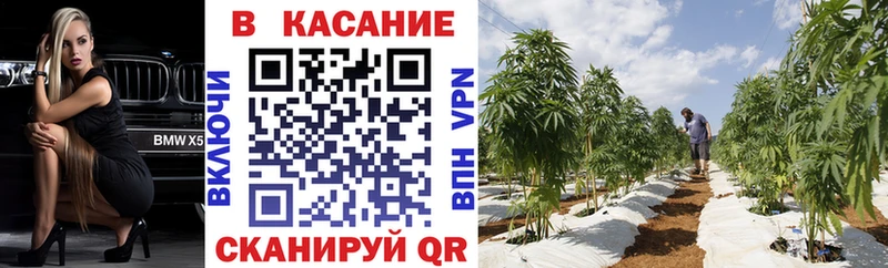 Где купить наркоту Отрадное Бошки Шишки Альфа ПВП ГАШ АМФЕТАМИН COCAIN МЕФ